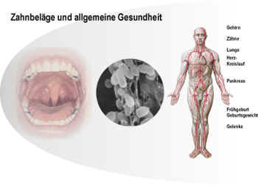 Implantologisch ttige Zahnarztpraxis